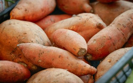 Harvest of the Month: Sweet Potatoes