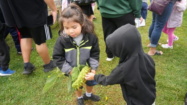 Farm to ECE Connects Children to Menominee Food Traditions